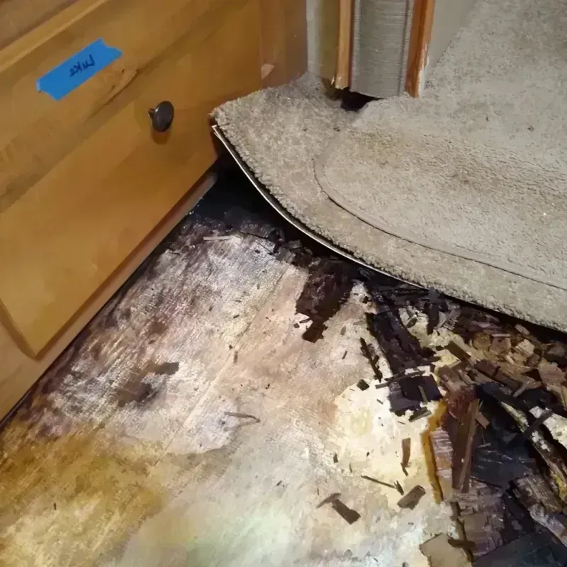 Best Wood Floor Water Damage Service in Edgemere, MD